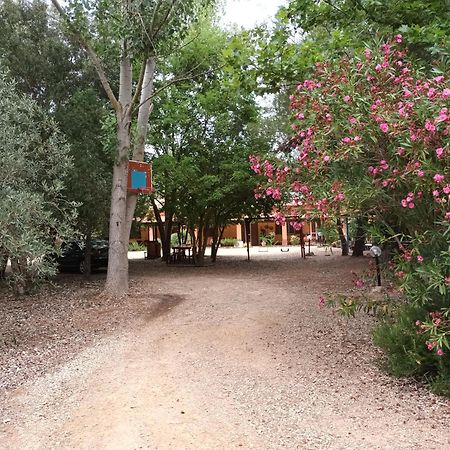 Agriturismo La Barca In Secca Ольмедо Экстерьер фото